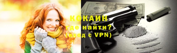 мдпв Майский