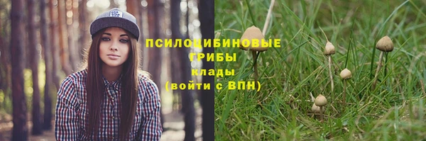 спиды Лиски